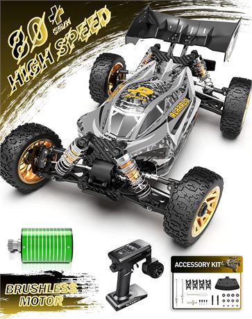 RIAARIO 1:14 Brushless Fast RC Cars for Adults