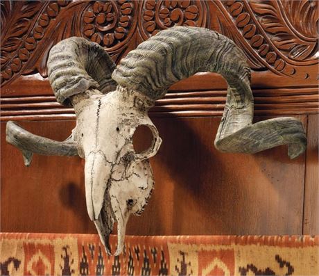 Design Toscano Corsican Ram Skull and Horns Wall Trophy