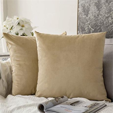 Velvet Decorative Square Throw Pillow Covers 20 x 20 Inch - 2Pcs