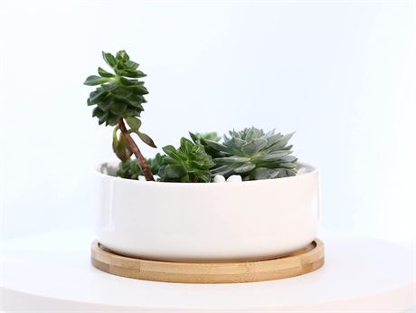 LANKER 6.3" Round White Ceramic Planter