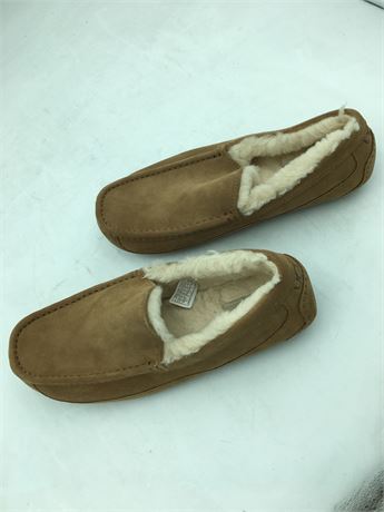 Ugg: Ascot Slipper Shoes - Men - Chesnut - Size 11