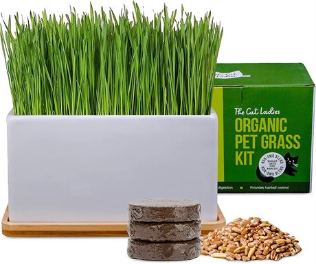 The Cat Ladies Organic Cat Grass Growing kit