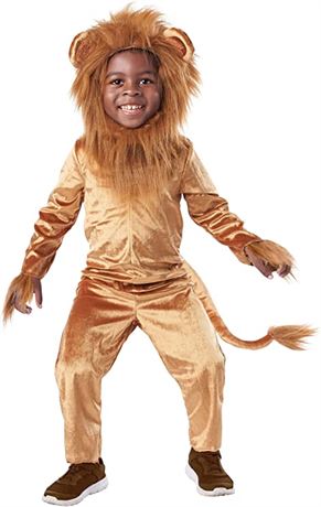 Kids Fun Lion Costume - Size M (8-10)