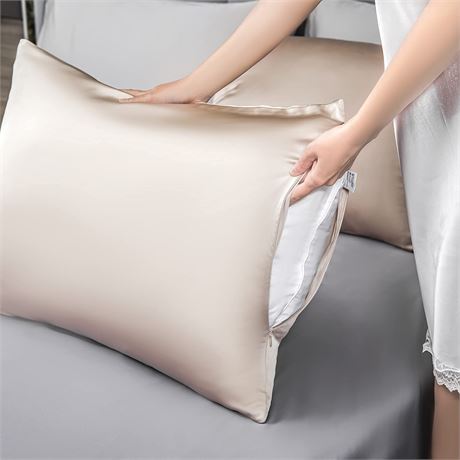 Leafbay 100% Pure Mulberry Silk Champagne Pillow Case - Queen