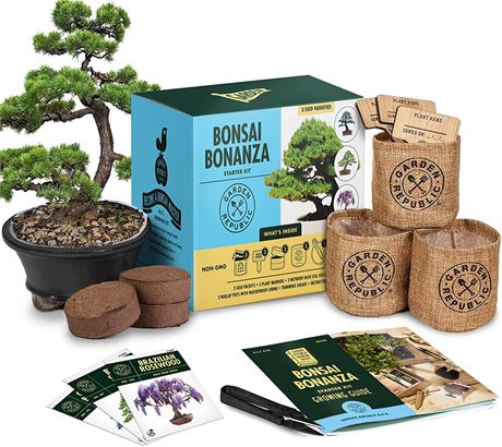 Bonsai Tree Kit Grow 3 Mini Bonsai Trees