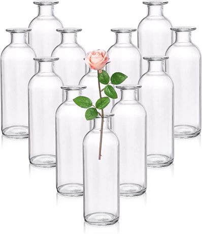 Set of 11 Glass Bud Vases, Clear Small Flower Vases