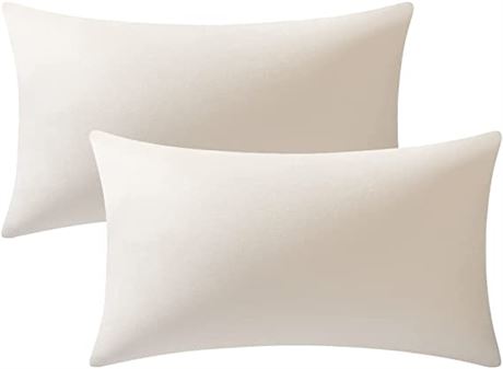 Pillow Covers 12x20, 2-Pack Cozy Soft Velvet Rectangular, Cream