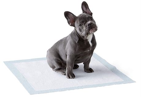 AmazonBasics Dog and Puppy Pee Potty Training Pads Regular Absorbancy, 150 Count