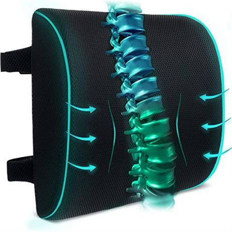 Mr. Pen- Lumbar Support Pillow