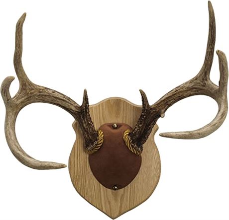 Walnut Hollow Country Antler Mount & Display Kit, Oak, Brown