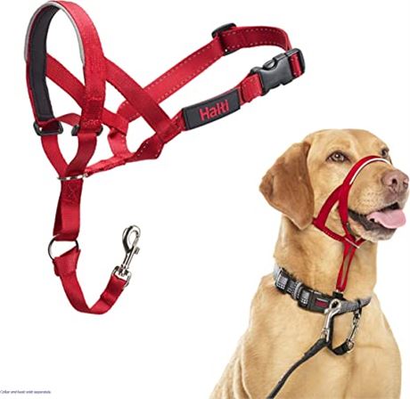 Company of Animals HALTI Headcollar, Size 3, Red