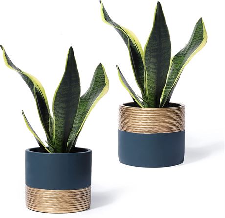 POTEY Cement Planter Pots for Plants Indoor - 5 Inch pair