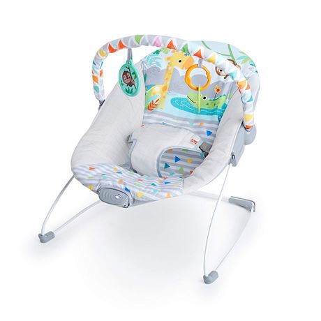 Bright Starts Baby Bouncer Soothing Vibrations Infant Seat