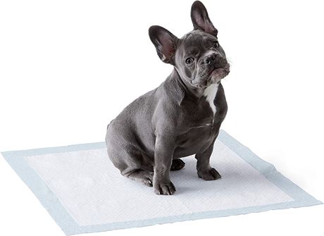 Amazon Basics Dog and Puppy Pee Pads (50 Pack)