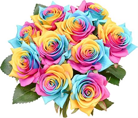 Mandy's 10-Piece Silk Roses, Rainbow