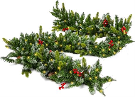 9 Foot Lighted Christmas Garland