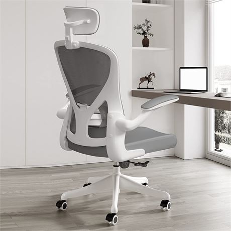 SICHY AGE Ergonomic Office Chair