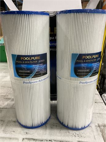 PoolPure PLFPRB24-IN Pool/Spa Filter, 2-Pack