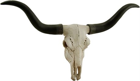 Decorative Longhorn Skull