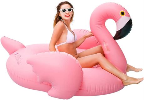 Doctor Dolphin Pool Floats for Adults