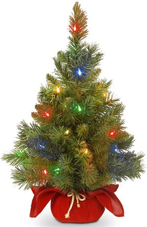 National Tree Company Pre-lit Artificial Mini Christmas Tree