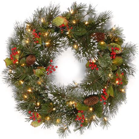 National Tree Company Pre-Lit Artificial Christmas Wreath, 24 Inches