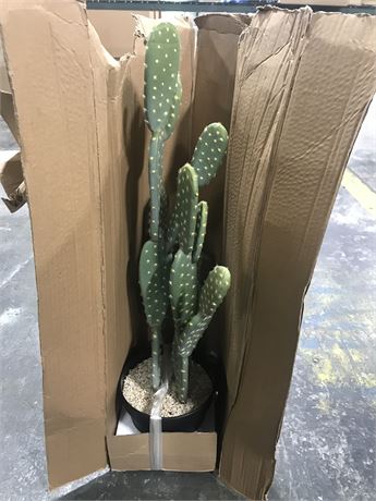 Unbranded Faux Cactus Plant with Pot - 20" Tall