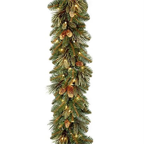 National Tree 9 Ft Carolina Pine Garland, Flocked Cones, 100 Battery Led Lights