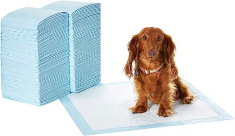 Pet Pee Pads, for Potty Training, Standard Absorbency, 22"x22", Pack of 150