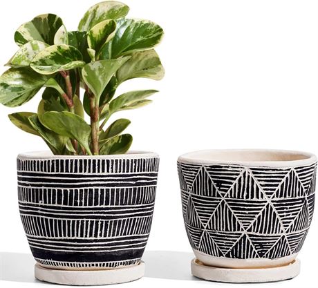 LE TAUCI Cement Planters Pots for Indoor Plants, 5.5 In