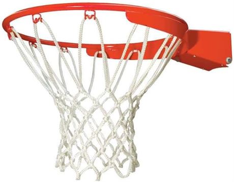 Lifetime Slam-It Pro Basketball Rim, 18 Inch