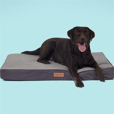 Puppy Paw Memory Foam Dog Bed for Extra Large Dogs, Size 40"x28"