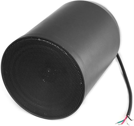 PYLE PRJS66B 6.5-Inch 40 Watts 70v Ceiling Hanging Pendent Speaker