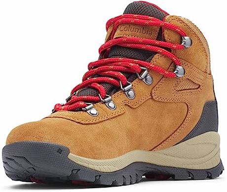 Columbia Women's Newton Ridge Plus Waterproof Amped Hiking Boot, 8