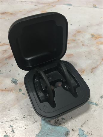 Power Wireless Pro V5.0 Earbuds with Charging Case (no micro usb)